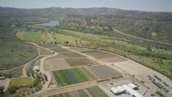 Vue aérienne sur vallée agricole et collines