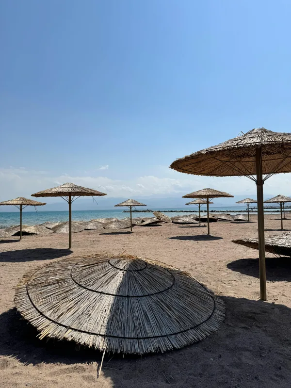 Plage paisible avec parasols en paille sous un ciel bleu