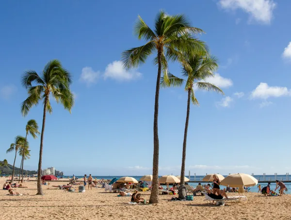 Plage tropicale avec palmiers et ciel bleu ensoleillé