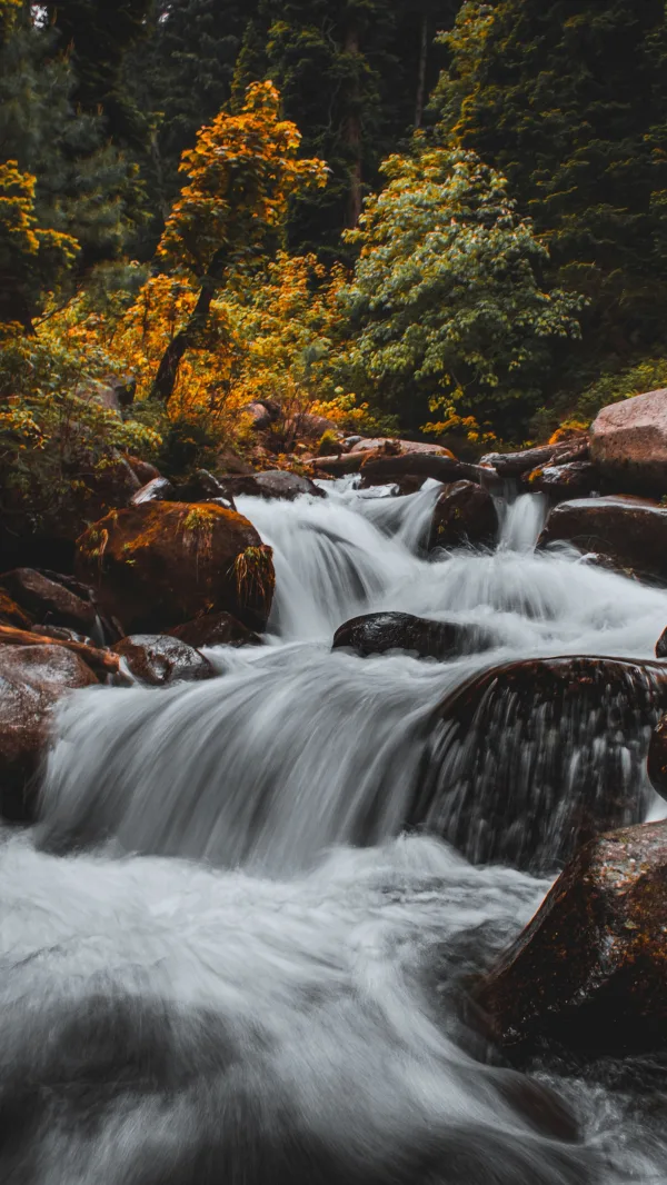 Cascade naturelle en forêt avec rivière et rochers