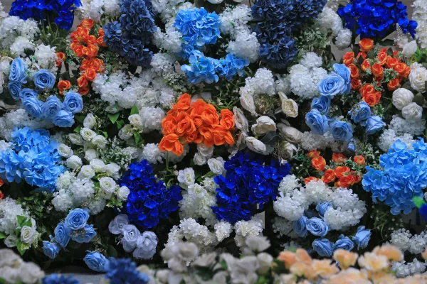 Mur floral coloré avec roses bleues, blanches et orange