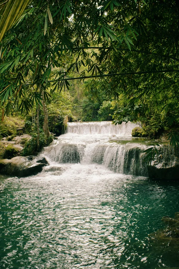 Cascade tropicale au cœur d’une forêt luxuriante
