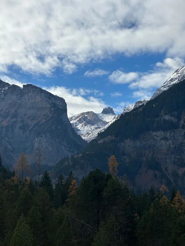 Paysage de montagnes enneigées et forêt sous un ciel nuageux