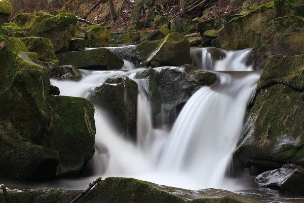 Cascade paisible au cœur d’une forêt rocheuse
