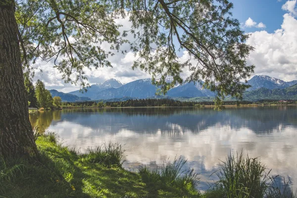 Paysage de lac de montagne avec reflets et nature paisible