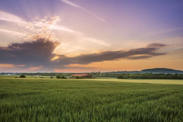 Champ verdoyant sous un magnifique coucher de soleil à la campagne