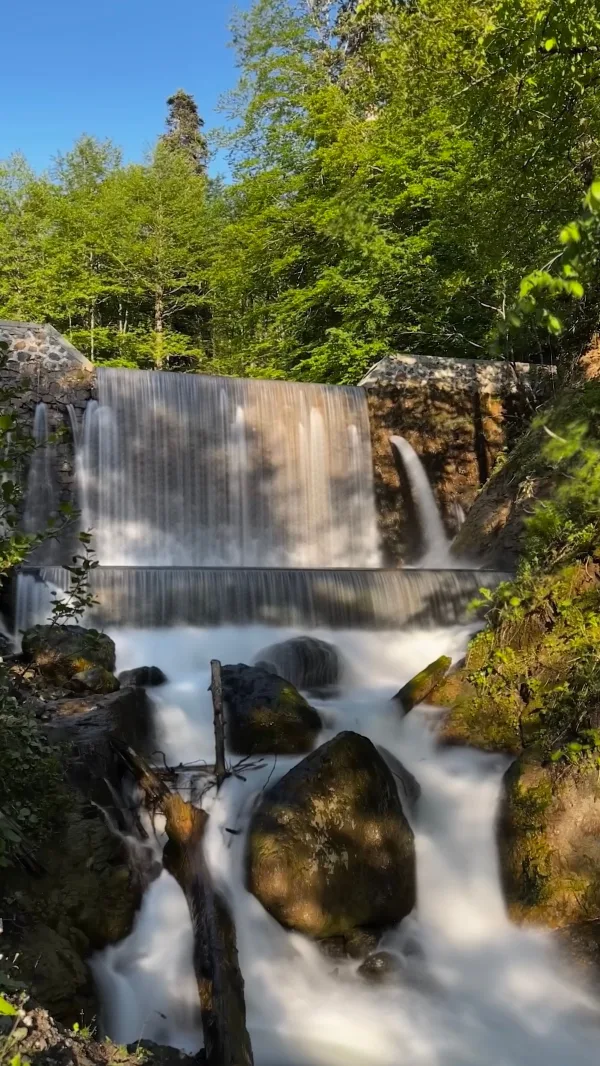 Cascade paisible au cœur d’une forêt verdoyante