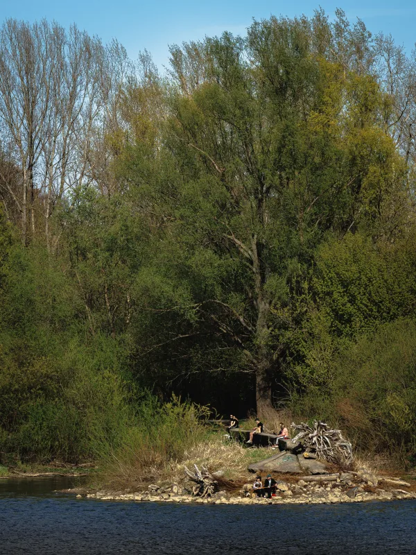 Paysage naturel au bord d’une rivière entourée d’une forêt verdoyante