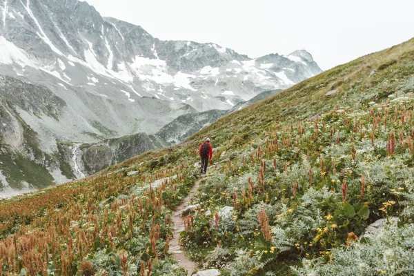 Randonnée en montagne au cœur d'un paysage alpin spectaculaire