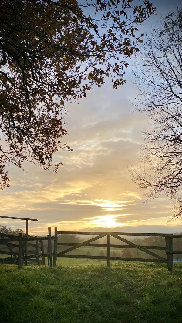 Coucher de soleil sur une campagne paisible avec clôture en bois