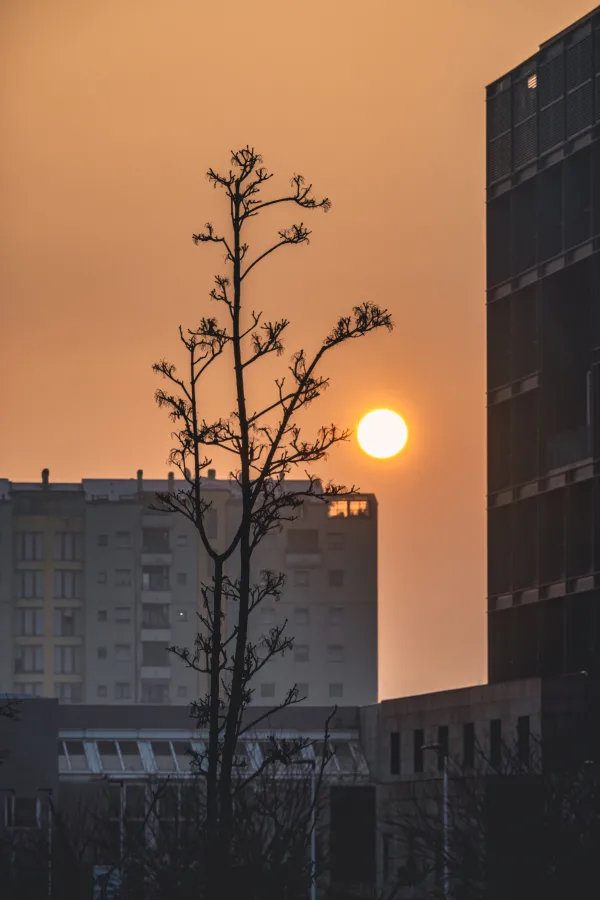Coucher de soleil urbain entre les immeubles de la ville