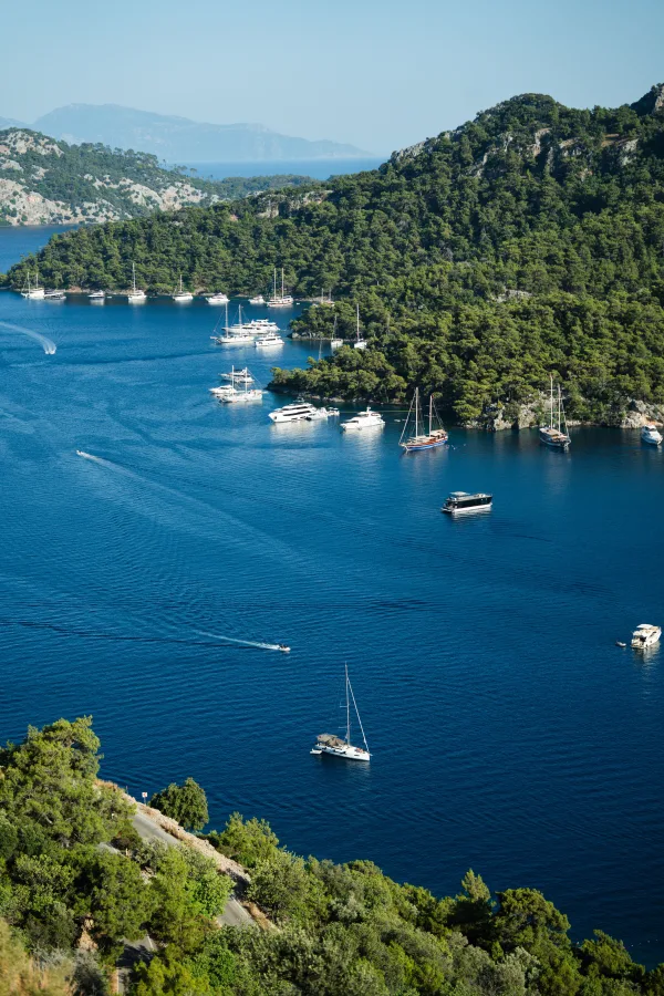 Baie turquoise avec voiliers et collines boisées vue depuis les hauteurs