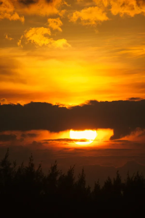 Coucher de soleil doré derrière les nuages et la forêt