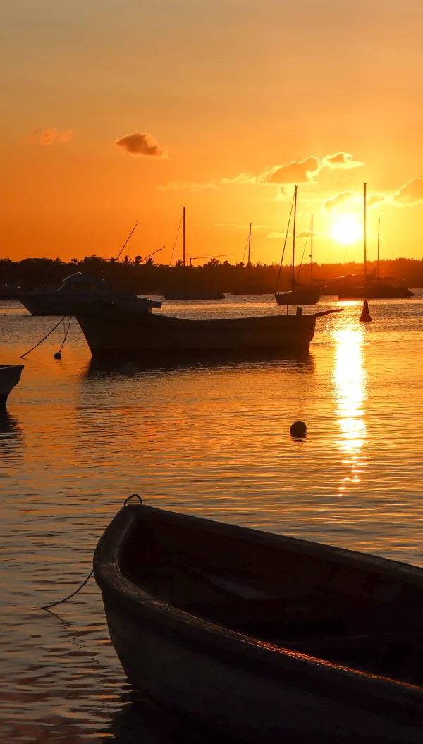 Bateaux au coucher du soleil dans un port paisible