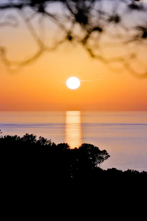 Coucher de soleil sur la mer avec reflets dorés et silhouettes d’arbres