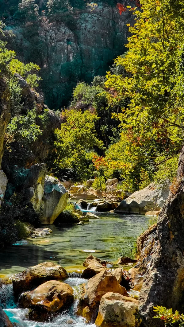 Rivière cristalline au cœur d’un canyon verdoyant
