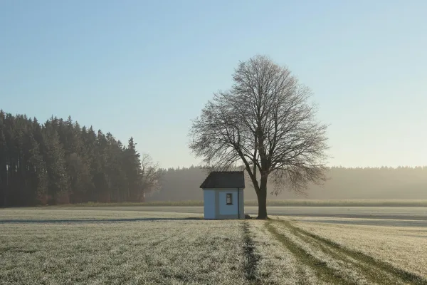 Petit refuge et arbre solitaire dans un paysage rural givré