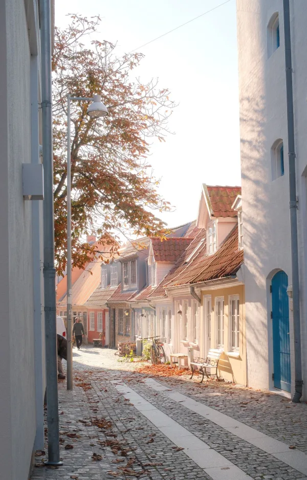 Rue pavée pittoresque bordée de maisons colorées dans un village européen
