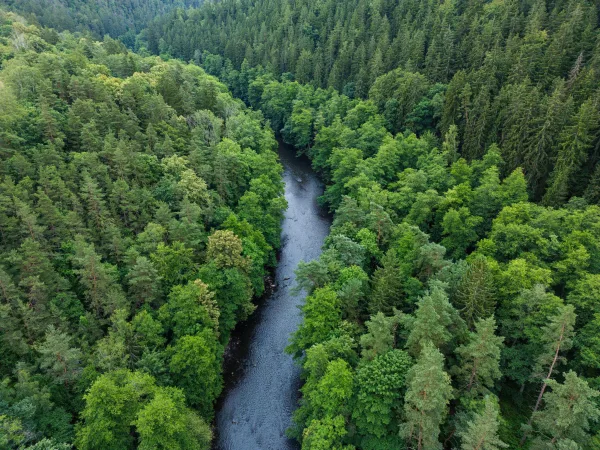 Vue aérienne d'une rivière traversant une forêt verdoyante