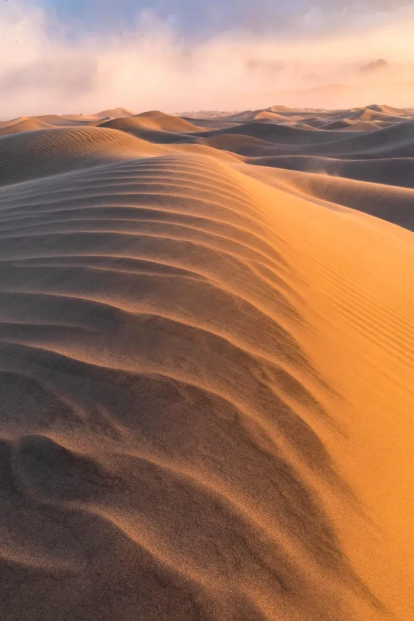 Dunes de sable doré dans le désert au lever du soleil