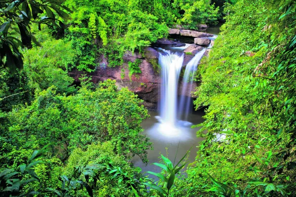 Cascade tropicale au cœur d'une forêt luxuriante