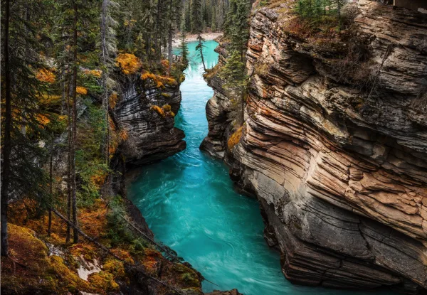 Canyon rocheux et rivière turquoise au cœur d'une forêt