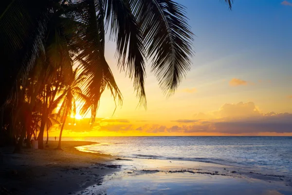 Coucher de soleil sur une plage tropicale bordée de palmiers