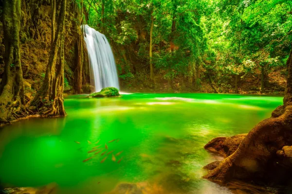 Cascade tropicale et bassin émeraude au cœur d'une forêt luxuriante