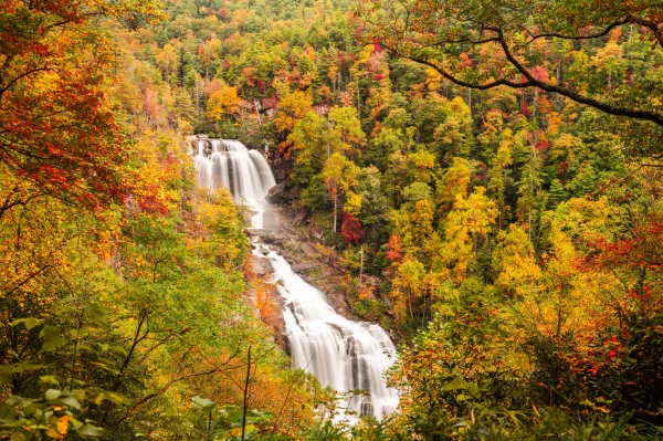 Cascade majestueuse au cœur d'une forêt d'automne aux couleurs flamboyantes
