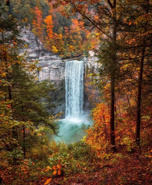 Cascade majestueuse au cœur d'une forêt d'automne aux couleurs flamboyantes