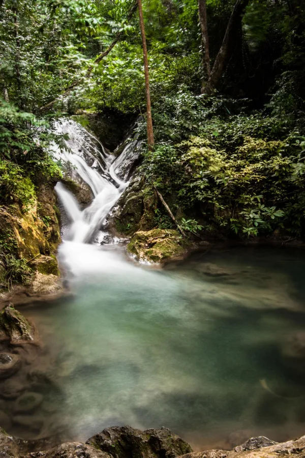 Petite cascade tropicale se jetant dans un bassin d'eau turquoise
