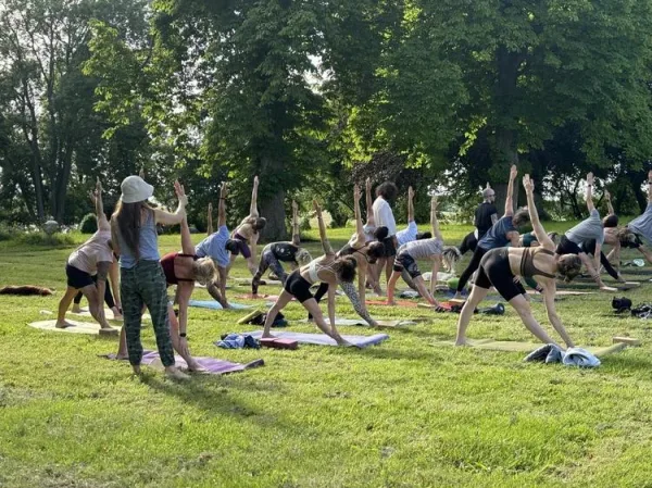 Cours de yoga en plein air dans un parc verdoyant