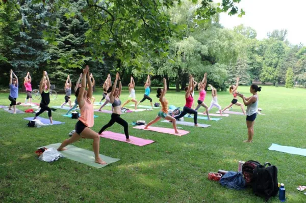 Cours collectif de yoga dans un parc verdoyant