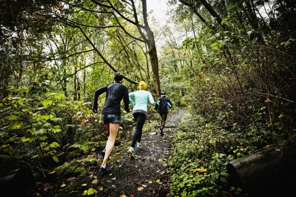 Groupe de coureurs en trail running dans une forêt