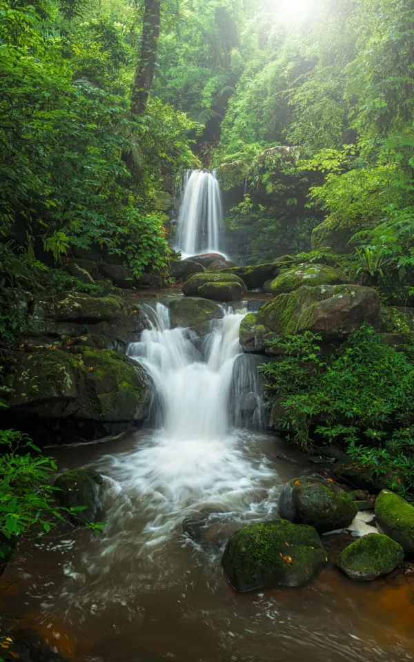 Cascade tropicale au cœur d'une forêt luxuriante et verdoyante