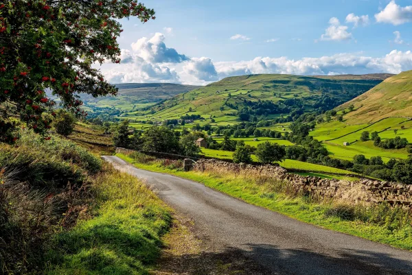 Route de campagne traversant une vallée verdoyante sous un ciel bleu